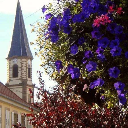 Maison Charmante à + Jardin Hébergement de vacances